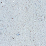 Плита Мегаполіс