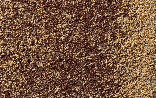 Багатобарвна гама