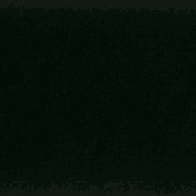 RAL 9005