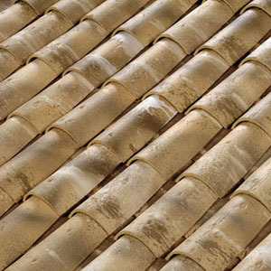 Canal Languedocienne Terreal