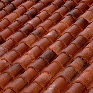 Romane Canal Terreal