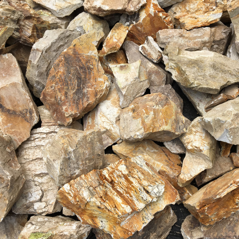 Тигровий ліпарит, бут