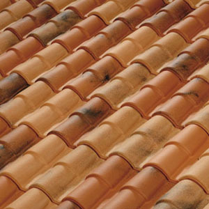 Romane Canal Terreal