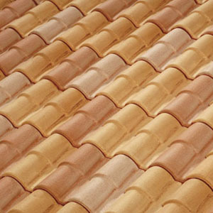 Romane Canal Terreal