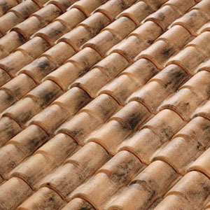 Romane Canal Terreal