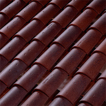 Canal Languedocienne Terreal